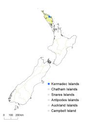 Trichomanes caudatum distribution map based on databased records at AK, CHR, OTA and WELT. 
 Image: K. Boardman © Landcare Research 2016 CC BY 3.0 NZ